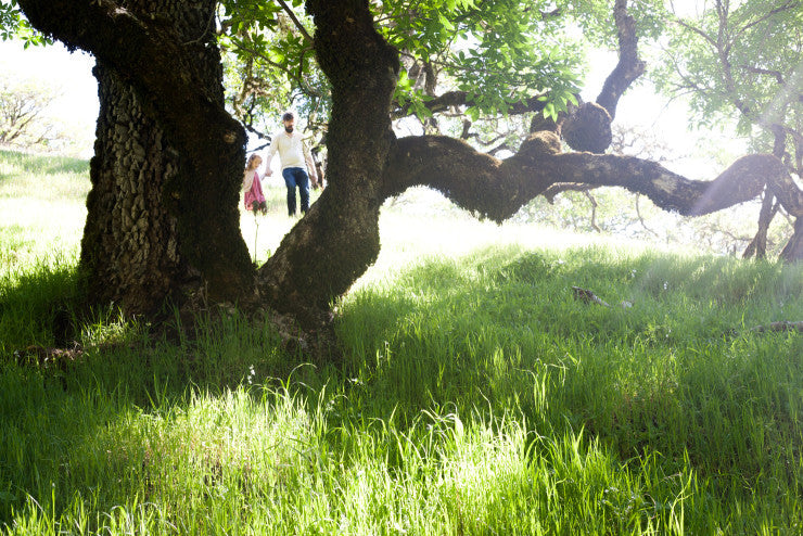 Sprudge.com Shows Black Oak Coffee Roasters Some Love