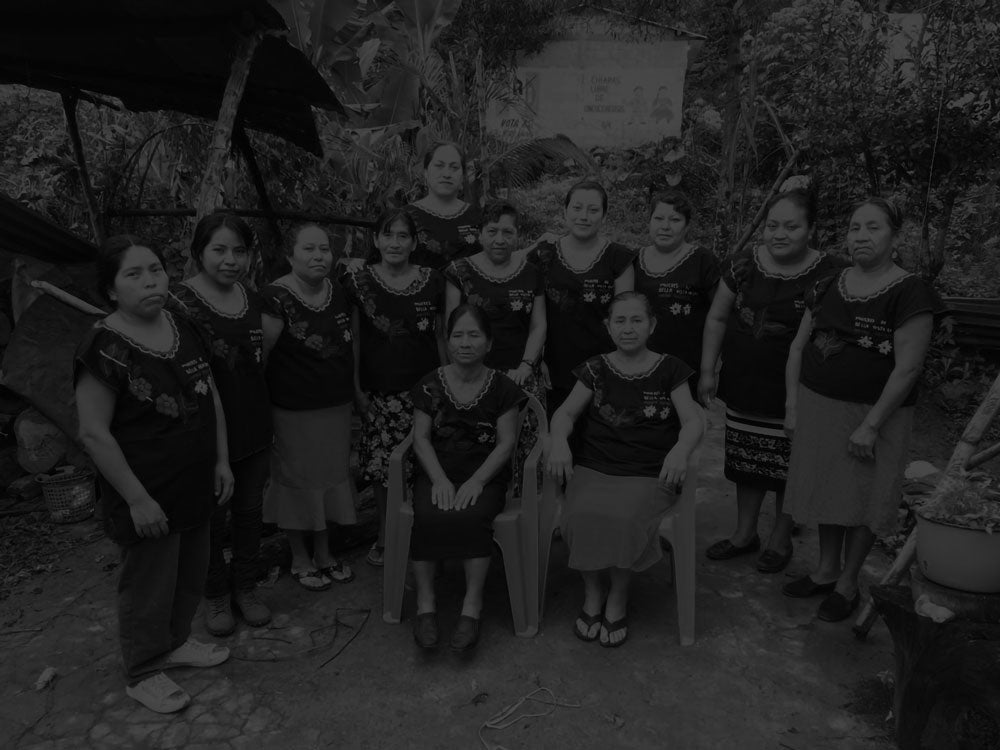 Female Farmer Series: Bella Vista - Chiapas