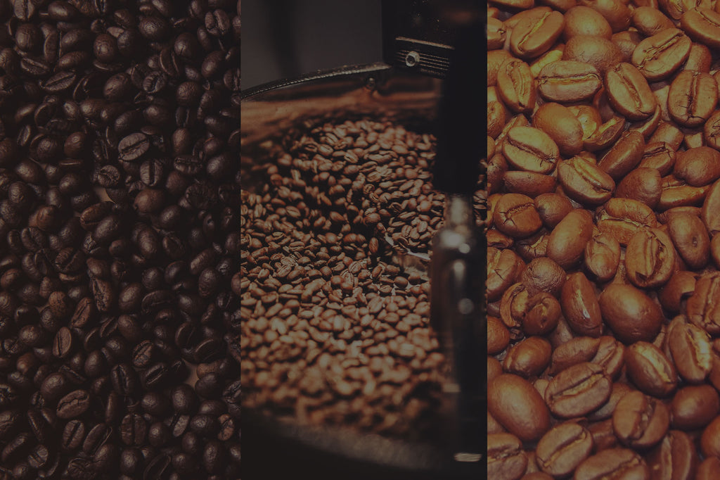 Light vs Dark (and Medium too): A Complete Guide To Coffee Roast Levels