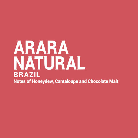 Brazil - Arara Natural