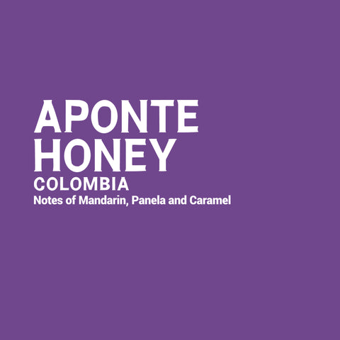 Colombia - Aponte Honey